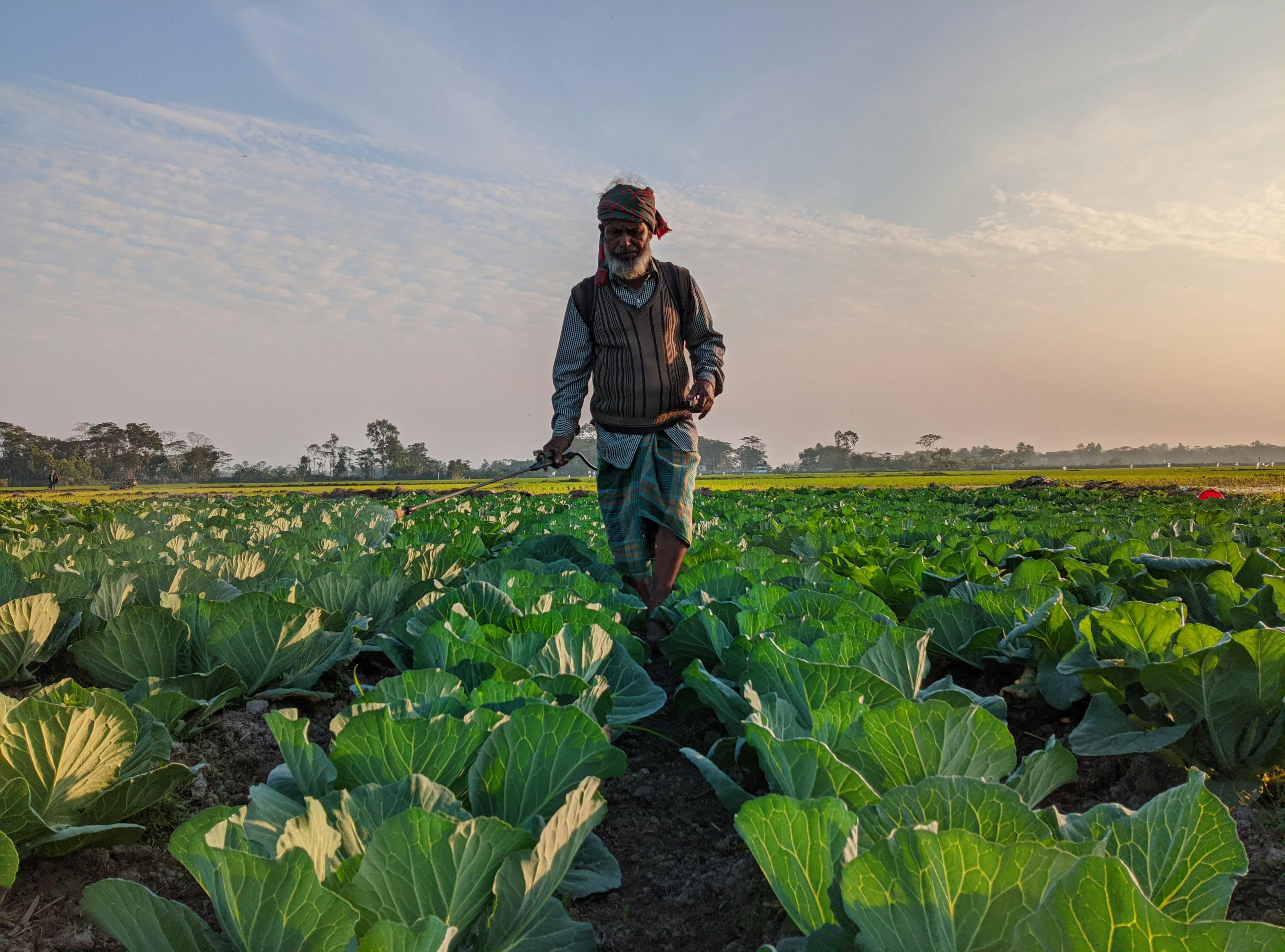 A farmer spraying crops in a field